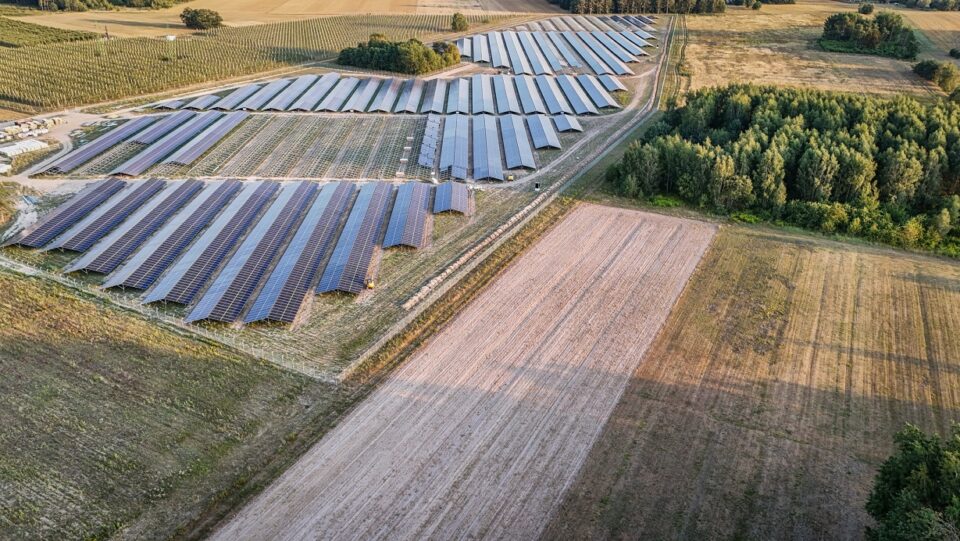 Zielona transformacja przedsiębiorstw
