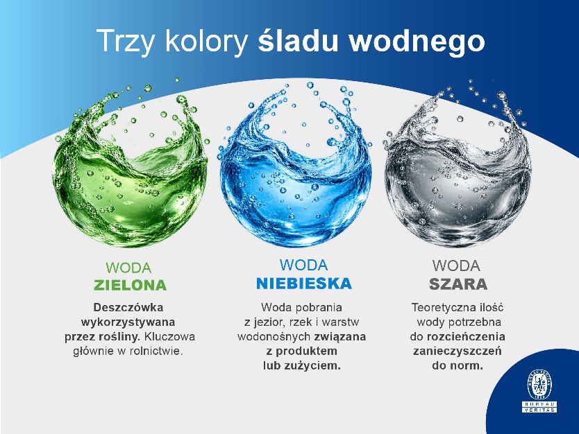 Od kawy po bawełnianą koszulkę